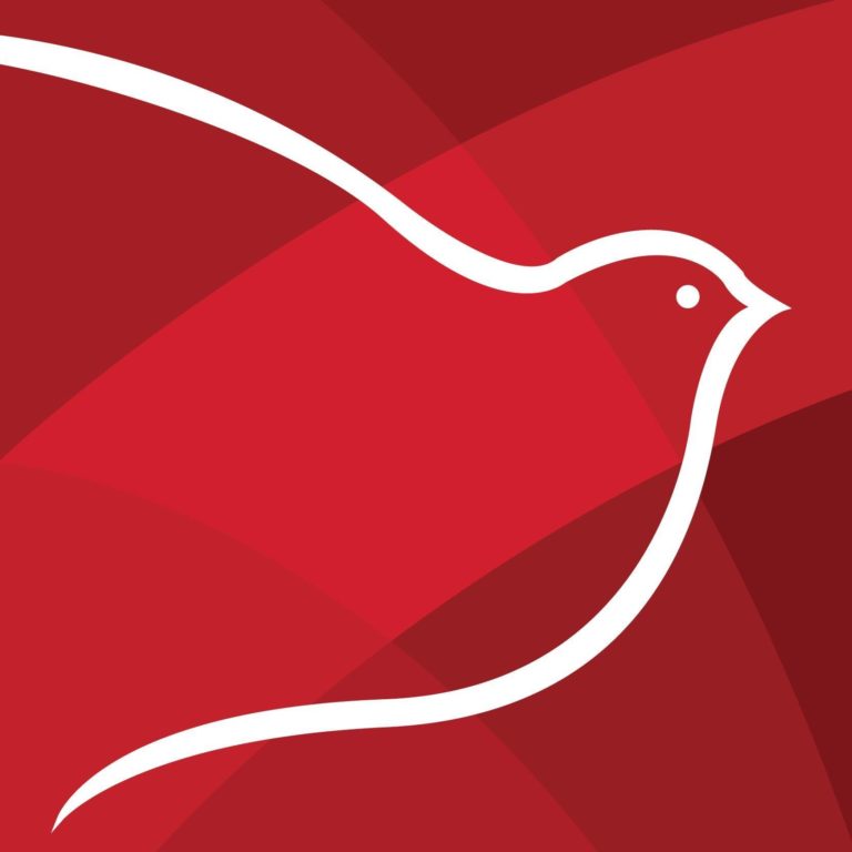 Fundacion Rozas Botran 768x768