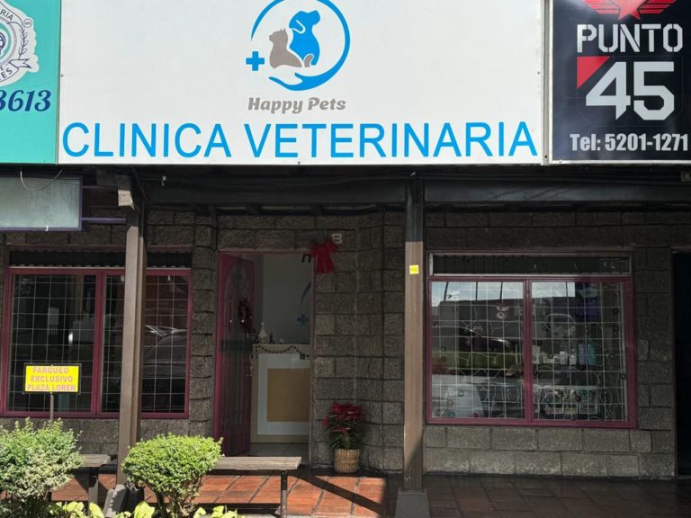 WhatsApp Image 2023 11 30 at 13.48.09 768x576