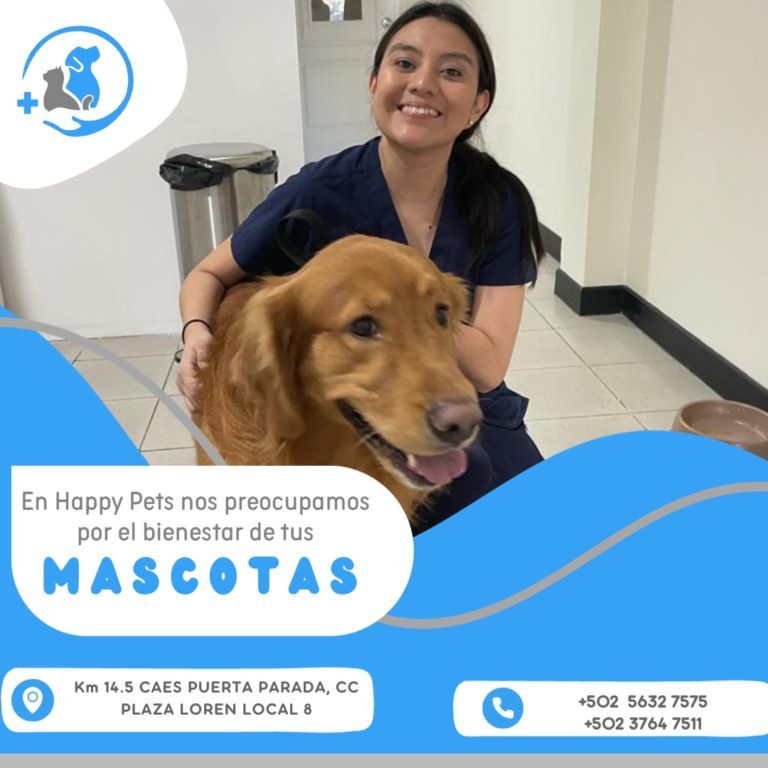 WhatsApp Image 2023 12 01 at 12.40.47 768x768