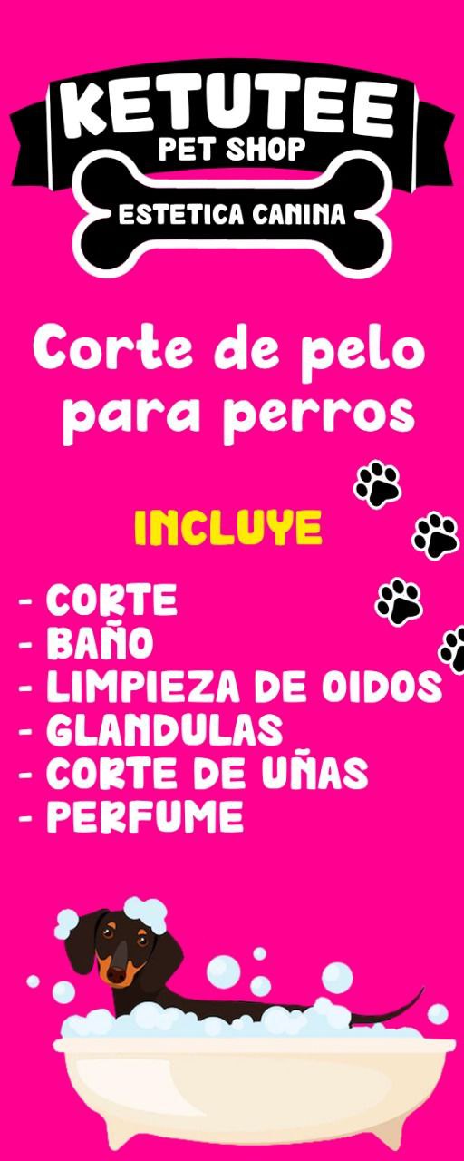 IMG 20220705 172718 323