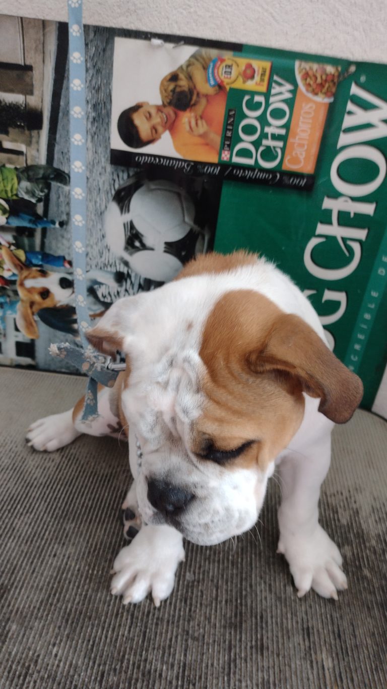 IMG 20230922 120846286 768x1365